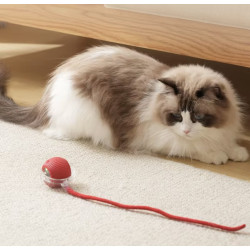 Boule jouet intelligente pour chien et chat