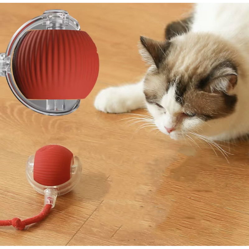 Boule jouet intelligente pour chien et chat