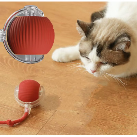 Boule jouet intelligente pour chien et chat