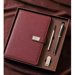 Coffret cadeau de luxe : carnet, stylo et clé USB